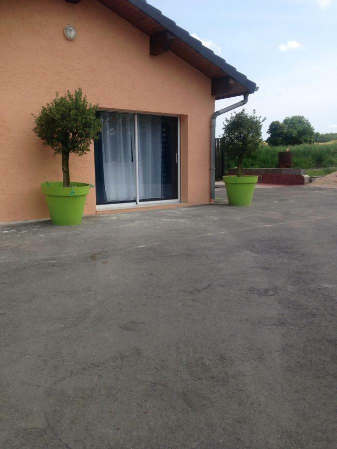 cosy logement à la campagne Marthille Extérieur photo